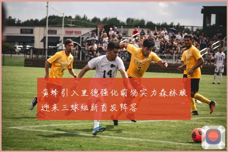 黄蜂引入里德强化前场实力森林狼迎来三球组新首发阵容
