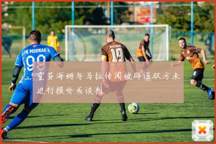 霍芬海姆与马拉传闻被辟谣双方未进行报价或谈判